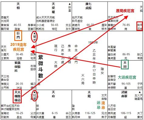 疾 厄 宮,氣質|紫微斗數